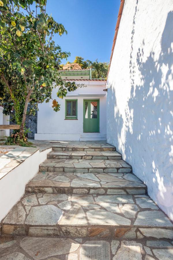 Olea Skopelos Villas With Swimming Pools & Sea View Panormos  Esterno foto