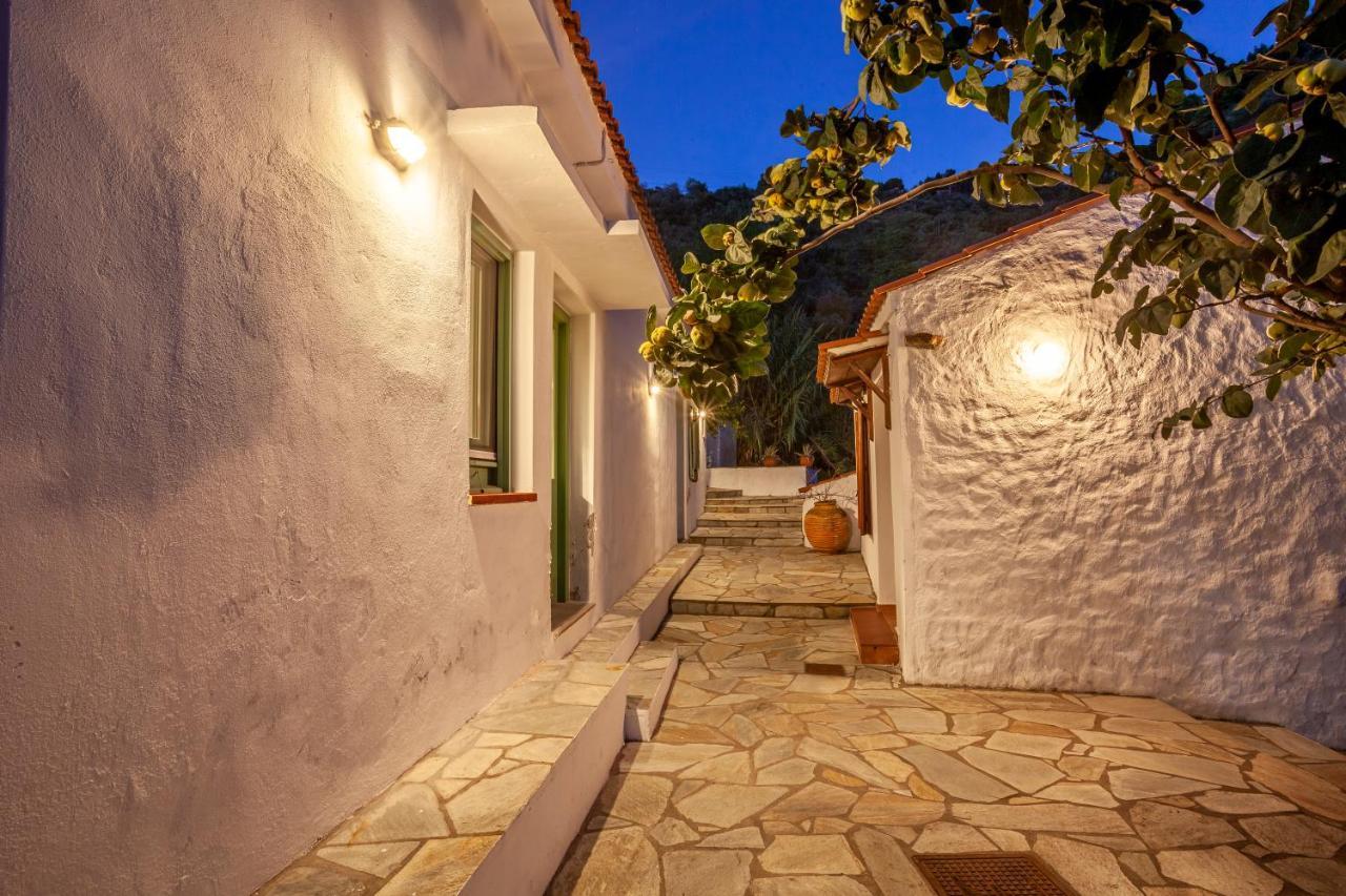 Olea Skopelos Villas With Swimming Pools & Sea View Panormos  Esterno foto