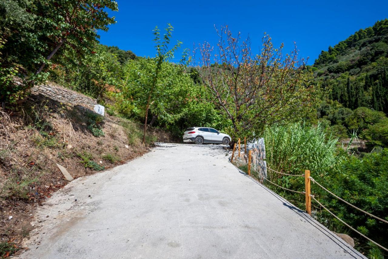 Olea Skopelos Villas With Swimming Pools & Sea View Panormos  Esterno foto