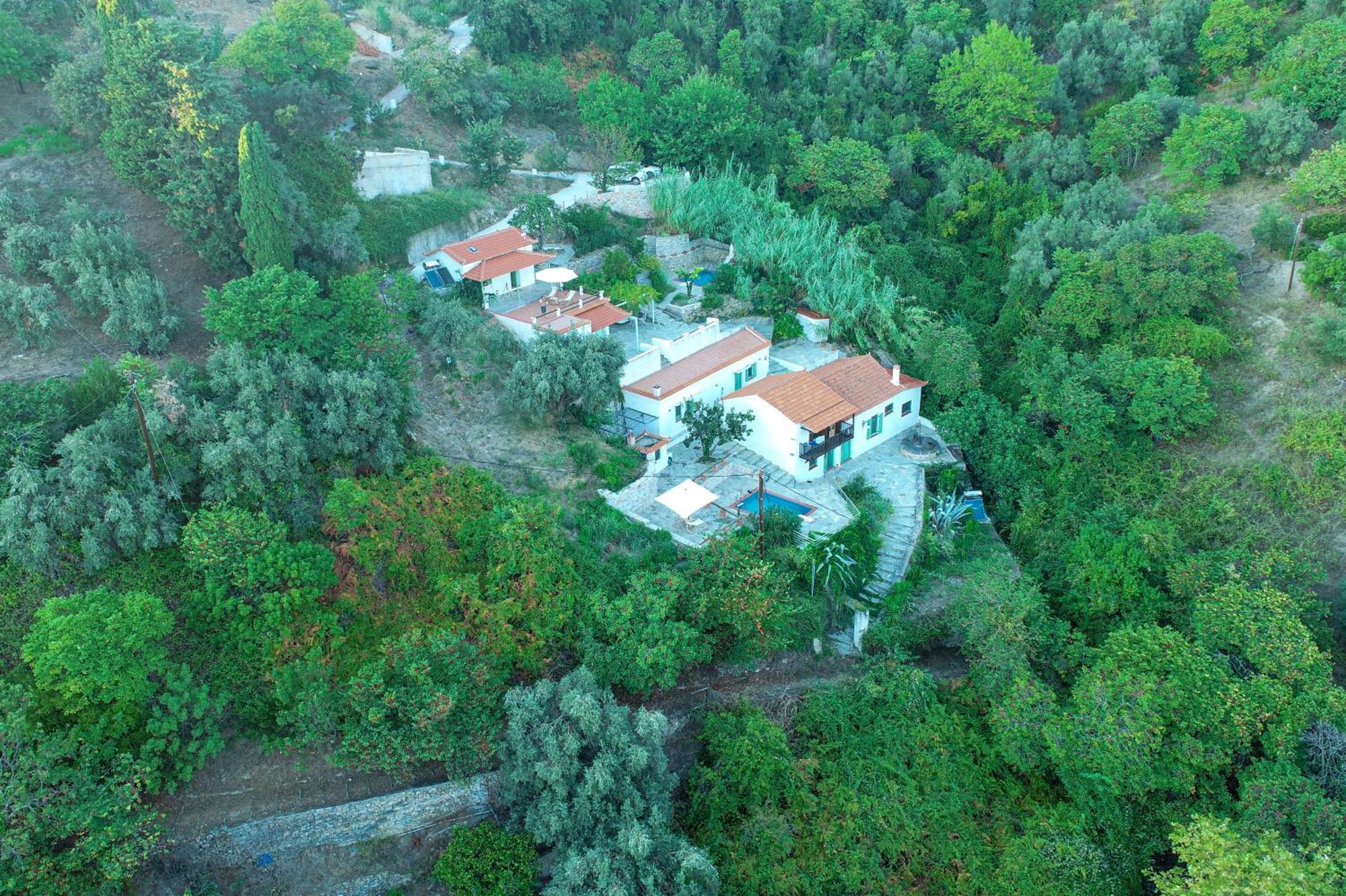 Olea Skopelos Villas With Swimming Pools & Sea View Panormos  Esterno foto